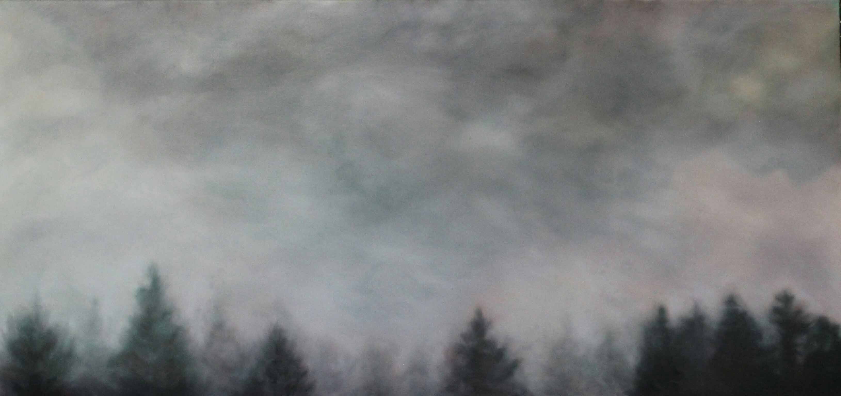 Can't See The Mountains For The Trees - Maria Patrizi