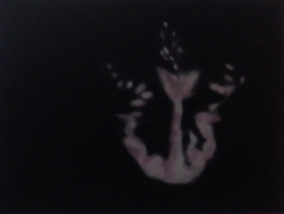 Passionately Yours 12 - Maria Patrizi