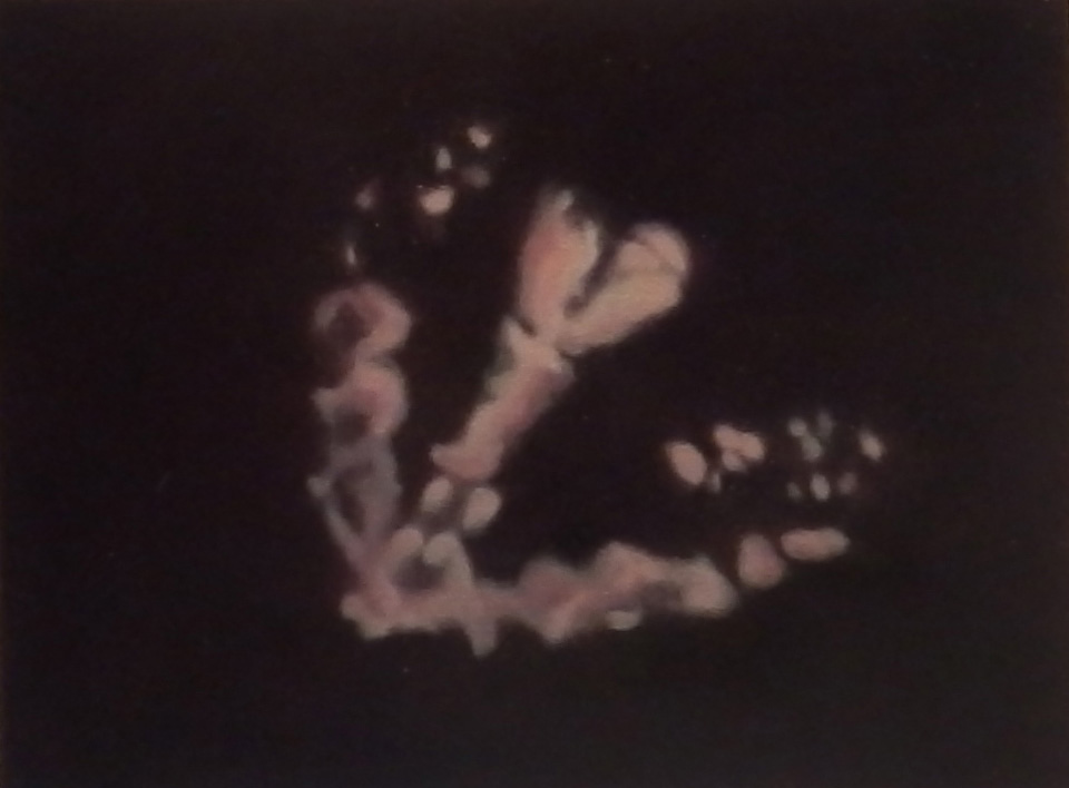 Passionately Yours 13 - Maria Patrizi