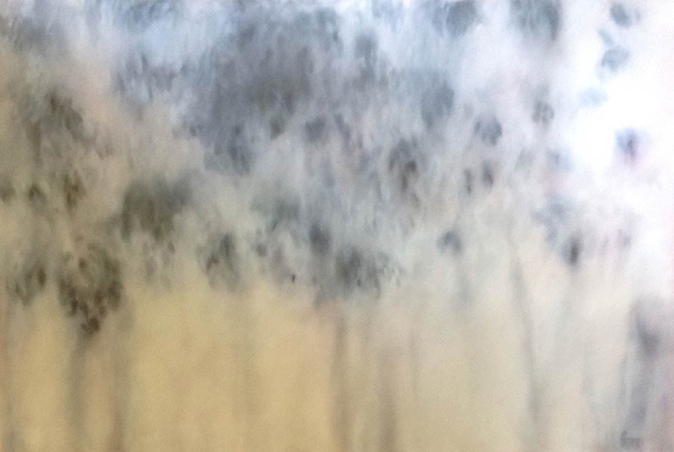 The Invaders - Maria Patrizi